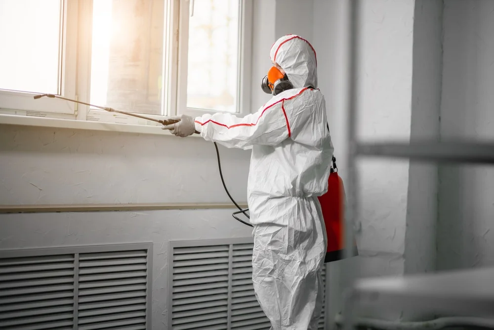 Professional mold remediation services in Welaka, FL